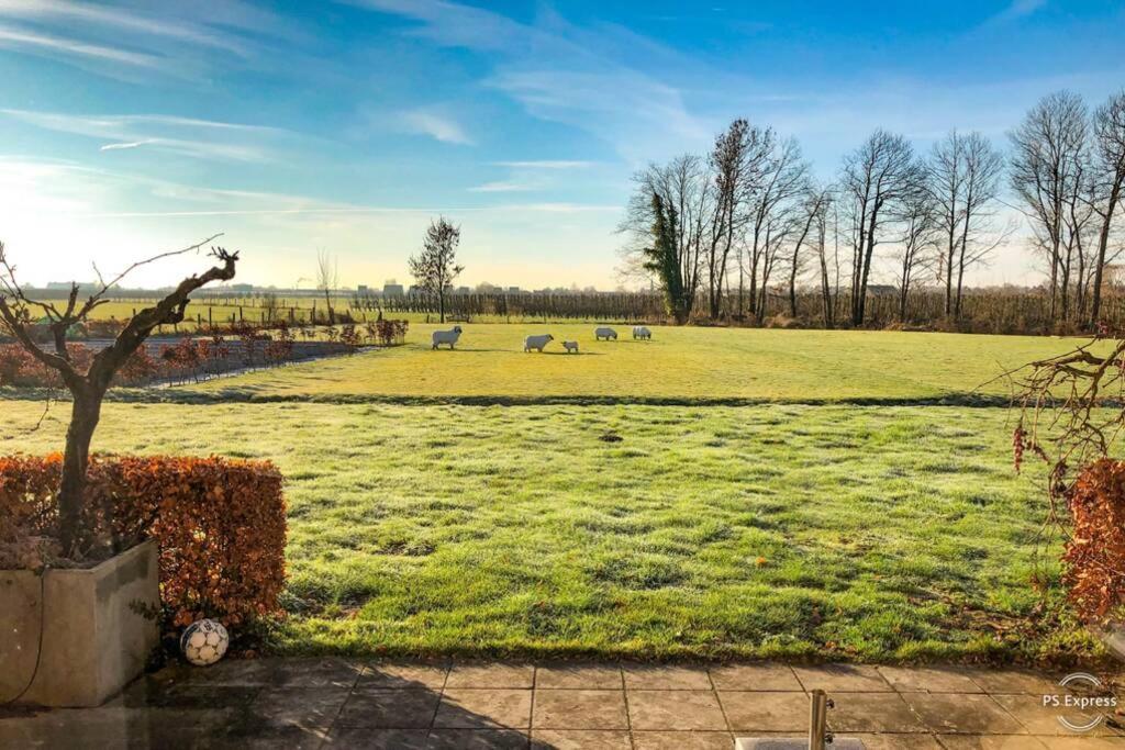Gastenhuis prachtige Historische Vierkant Hoeve Broechem Buitenkant foto