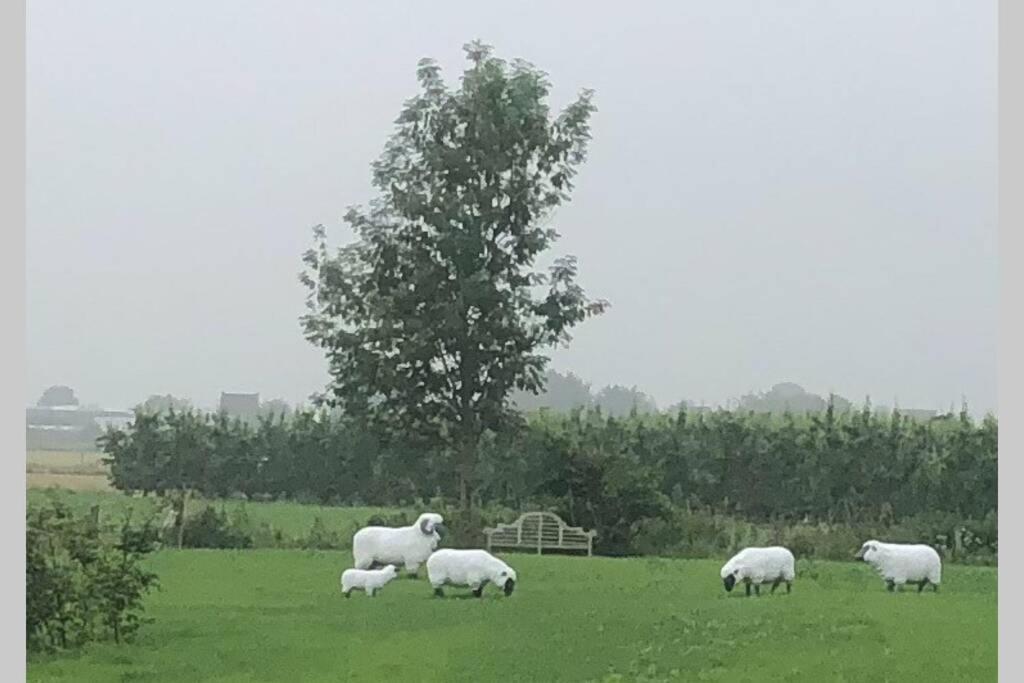 Gastenhuis prachtige Historische Vierkant Hoeve Broechem Buitenkant foto