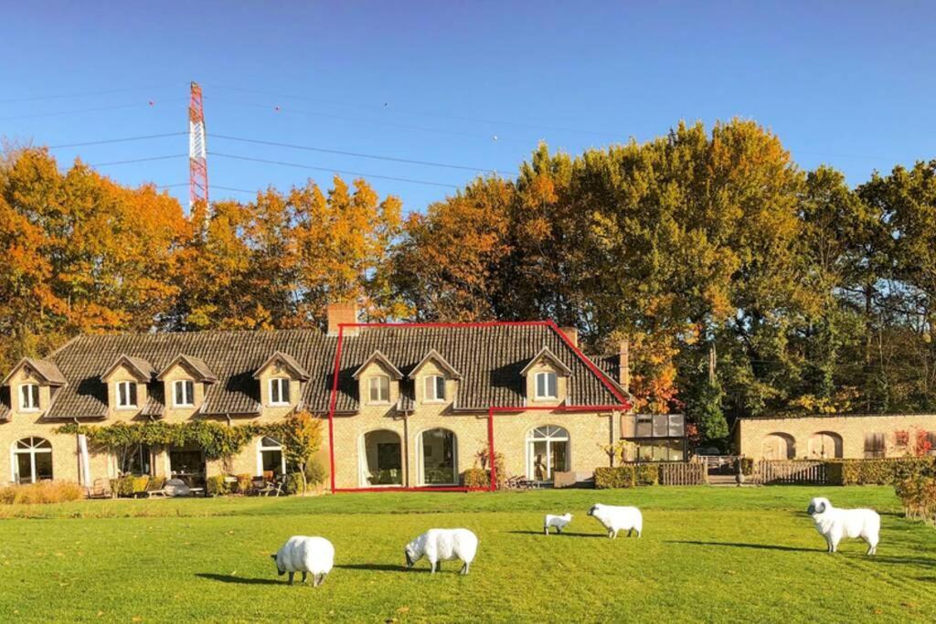 Gastenhuis prachtige Historische Vierkant Hoeve Broechem Buitenkant foto